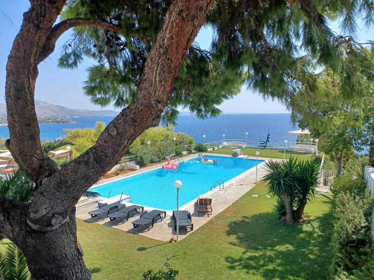 Beautiful, Private Villa By The Sea Agia Marina  外观 照片
