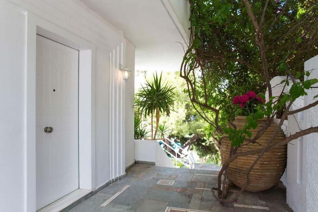 Beautiful, Private Villa By The Sea Agia Marina  外观 照片