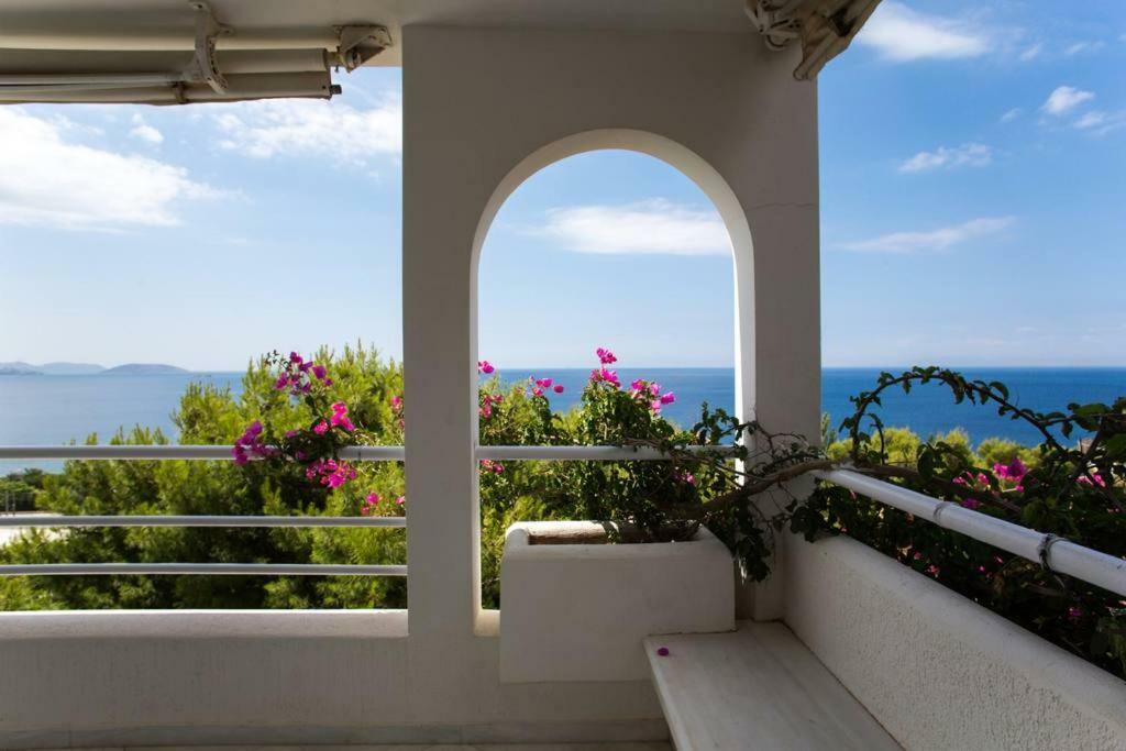 Beautiful, Private Villa By The Sea Agia Marina  外观 照片